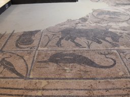 Ciudad de Elche 2022